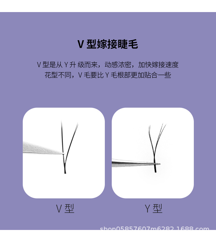 V扁嫁接睫毛 V扁嫁接睫毛