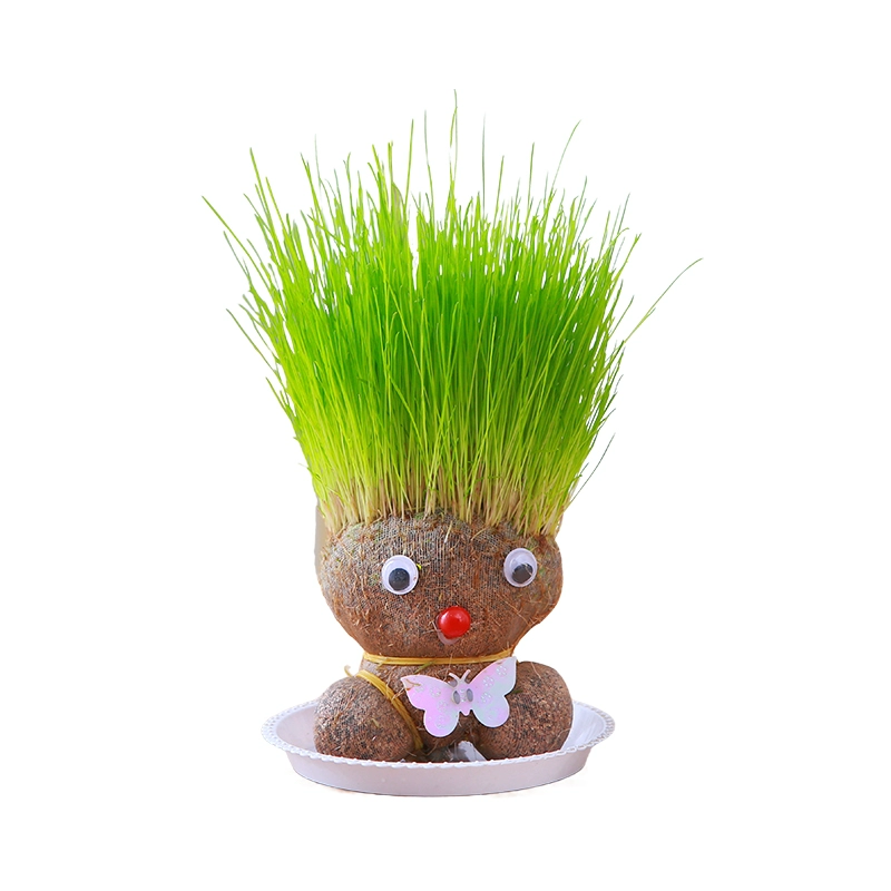 Кашпо с Grass, маленькие украшения для стола, гидропоника, длинные зелёные травы, лёгкий уход за растениями, садик, головка куклы, рост растений