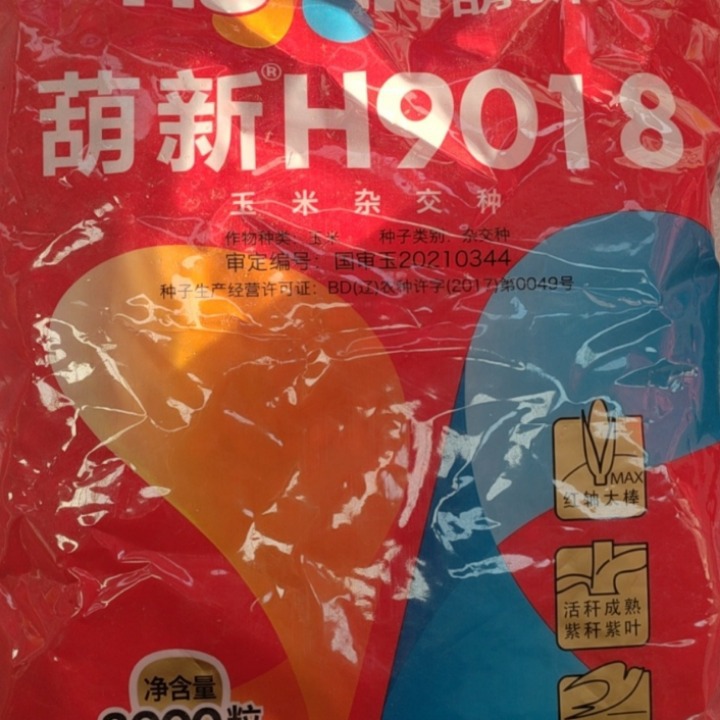 Spring Planting Ordinary Agriculture Hybrid Corn Seeds Hu Xin H9018 Corn Seeds Hybrid Variety
