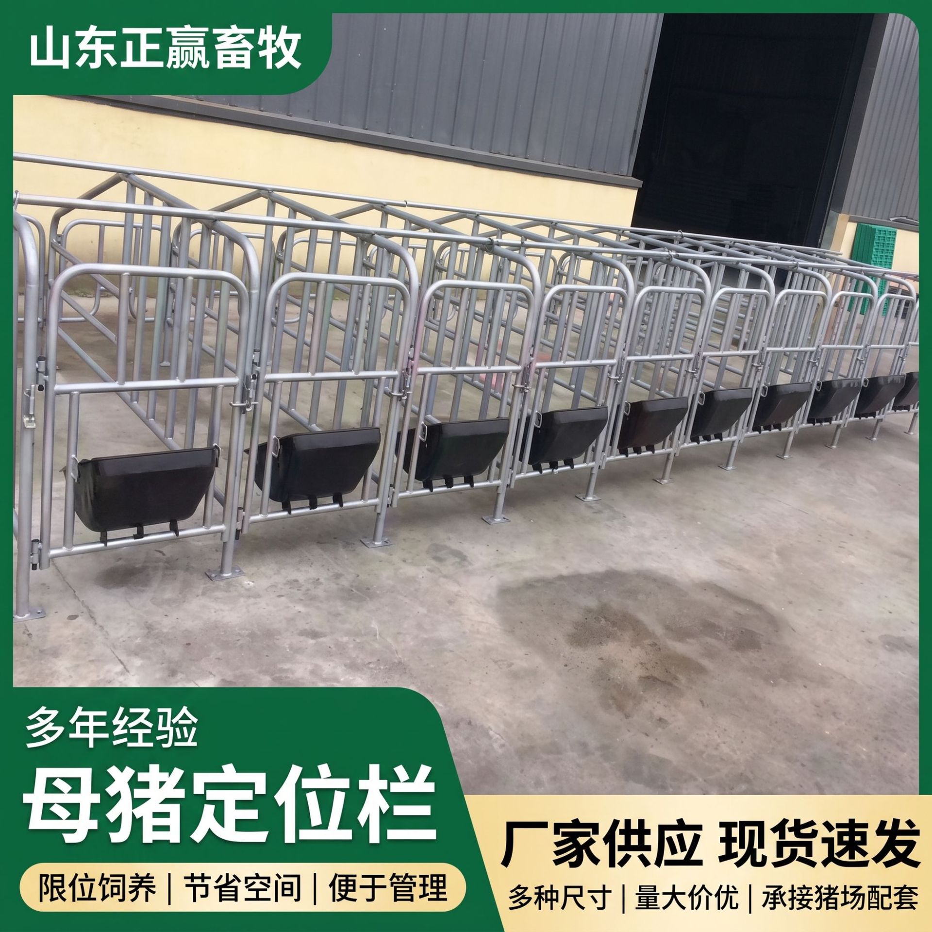 批发规模化猪场配置多种规格母猪养殖栏母猪定位栏热镀锌限位栏