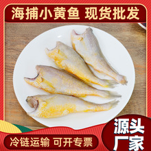 ���r����С�S�~����̼����S���~�ӹ��ك��o�^ȥ�^�_���������l