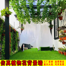 ֲڒGֲƤbkeGɫ^nٲƺ