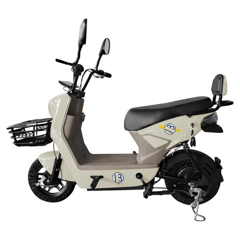 Al por mayor nuevo pedal de dos ruedas en ultra larga duración transfronteriza adulto viaje asistido coche eléctrico bicicleta coche de batería