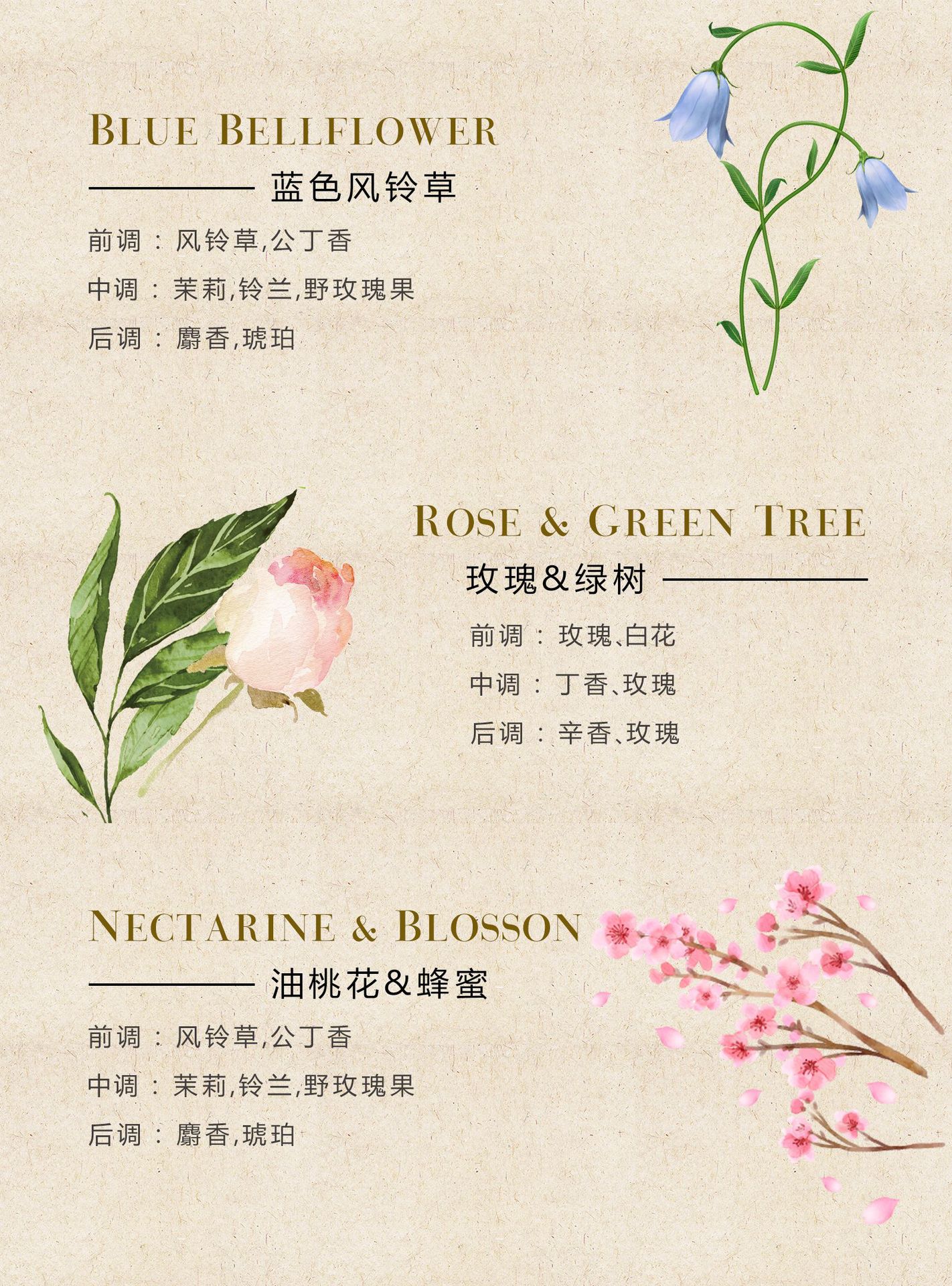 三色马口铁详情_11