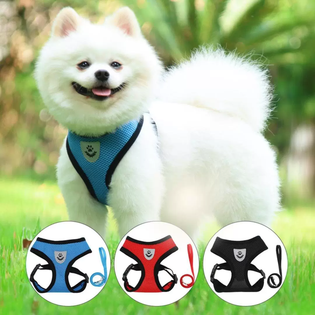 Поводок для домашних животных, летняя сетчатая дышащая шлейка для прогулок с собакой, I-образная светоотражающая шлейка для кошек, Тедди, товары для домашних животных