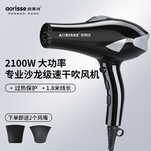 ŷ��ʫ������ר�ô����2100W���ʷ���ʦ���ȼ��û����紵��