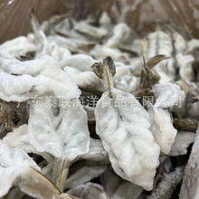 批发定制冷冻蝴蝶虾虾仁冰冻单冻虾仁湛江大虾仁南美白虾仁