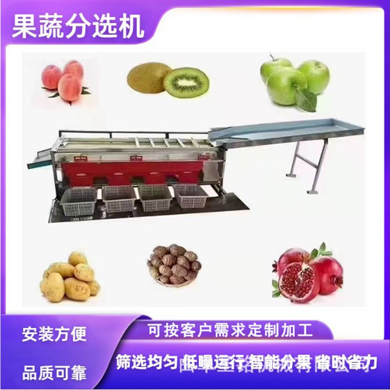 Citrus fruit sorting machine
