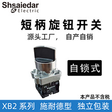 ���������̱���ť����XB2-BD21C����ʽ������BD35������������