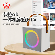 YS-203BT卡拉OK无线蓝牙音箱迷你双麦克风WJ-A836小音响KTV一体机