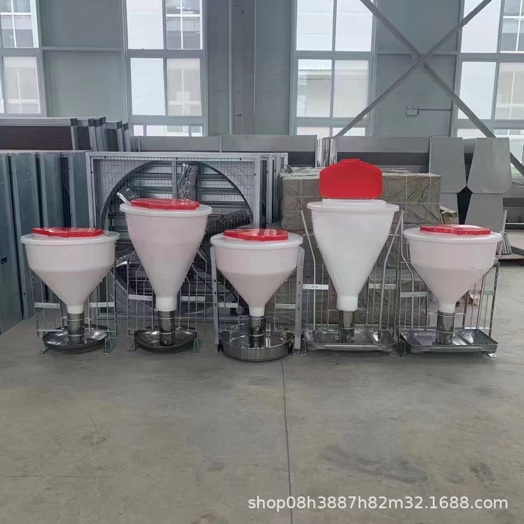 猪用干湿料槽育肥猪用自动喂料器保育猪自动料槽猪食槽自动采食槽