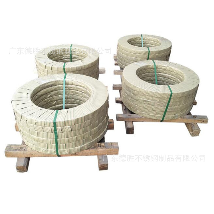 不锈钢带 (3)
