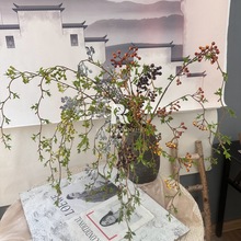 ��Ȼϵ�߼��з��滨ɽ�w��{���̈���c�û��ٻ��Ҿ��b���ʽ�Ҿ�