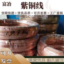 现货T2导电紫铜线紫铜扁线C1100镀锡紫铜丝0.05  0.1 0.2 2.0mm