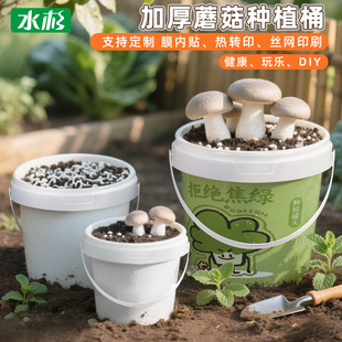 ����ģ���NĢ��ͰDIY�����NֲͰ����OӋ͸������Ͱ�Ӻ�ʳƷСͰ