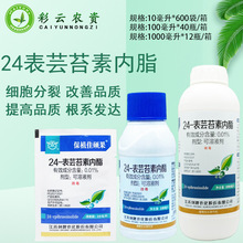 剑牌保植佳硕果0.01% 24表芸苔素内酯调节生长农药植物生长调节剂