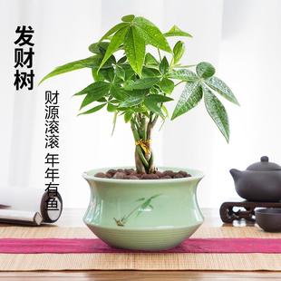 �lؔ������ֲ���մ������҃Ȼ������B�辰�͏d�Gֲ�lؔ��u�X�仨