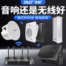 先科K1壁挂式音响吸顶无线蓝牙商店铺音箱专用会议重低音餐厅超市