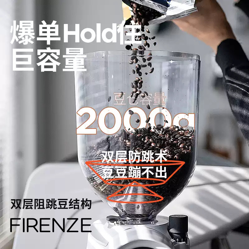 EUREKA エウレカ Firenze75/85 豆挽き機 イタリア製 定量グラインダー 85mm カッターヘッド コーヒー 業務用|undefined