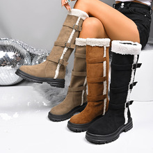 Qaůѩѥ2025ŮʿƤۺ׽qӽqӺͲѥ