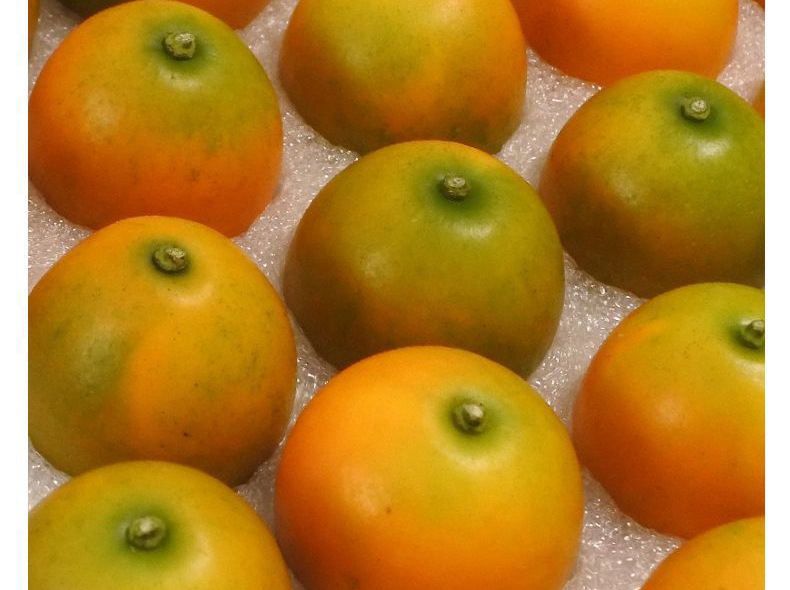 O1CN01P16Ofx1DPJBR7jjWs_!!2215