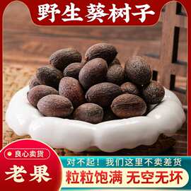葵树子野生中药材精选广西大粒葵树籽老果葵扇子葵扇籽蒲葵籽