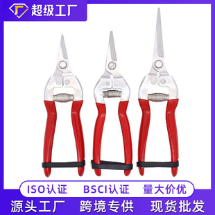 �S�ҬF؛���l���P䓽����ֱ���֦����  �@�ֻ������@�r����֦����