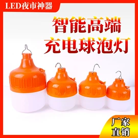 头灯头戴电筒;手电筒;其他室外照明