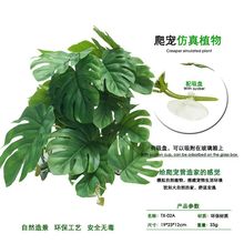 ����ֲ��Gֲ���ٻ��ٲݿ͏d�Gֲ�������b��ݾG�}�����řڻ�