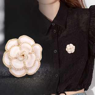 ɽ�軨�������Ů�ߙn �W���z���ۏ͹��ػ� �ɐ��\�Ͻ��e�brooch