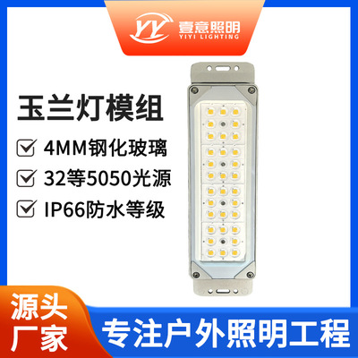 新款热销led玉兰灯户外防水模组光源50W节能市政工程改造路灯批发