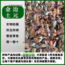 中药材金边土鳖虫250g新货土别非中华土元地乌龟金边土元地鳖粉