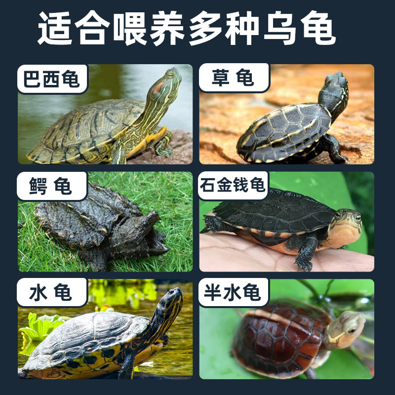 カメの餌、カメの餌、ワニ、ムスクカメ、東京カメ、万能魚とエビの乾燥カメの餌、カメの餌、ミルワームプロテインカメの餌|undefined