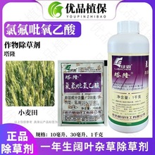 绿霸塔隆氯氟吡氧乙酸水稻果园林除水花生除根断老牌子根除草剂