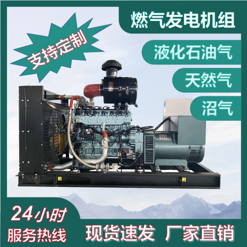 メーカー供給 50 kw ガス発電機セット飼育紙工場 100 kw バイオガス天然ガス発電機セット|undefined
