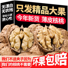 核桃薄皮批发价云南薄皮生核桃带壳原味散装批发坚果零食新货核桃