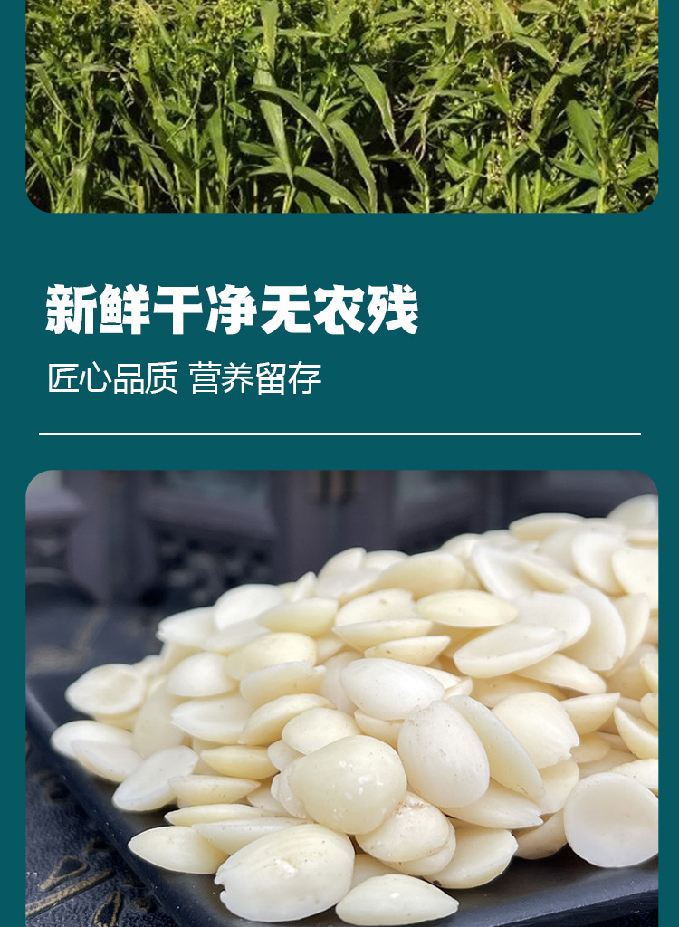 Tao Ren (Peach Kernel / Semen Persicae) — Peeled Food-Herb Seed, 500g, Powdering Available key features