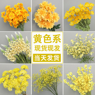 �Sɫ���滨��Y��c�û��������ýY����滨�������mõ�彑��ٻ�