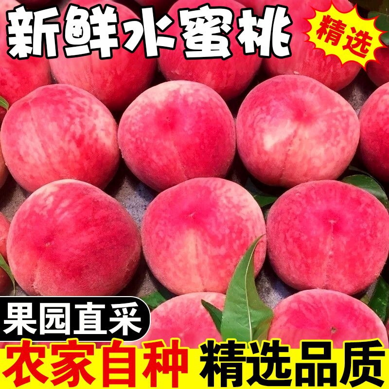 Freshly Picked Crispy Peaches and Nectarines, Seasonal Fruits, Whole Box of Fresh Fruits in Season