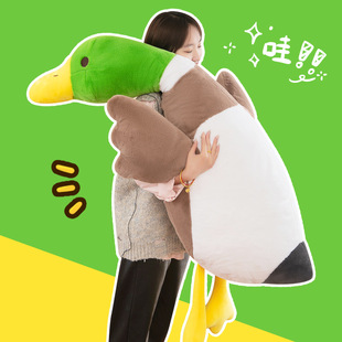 �羳���]���^����ë�q��߾G�^�����д��Z�L�l����˯�X���������l