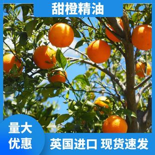 �������Ⱦ�����Ⱦ���Ӣ��ԭ�b�M���̝��o�w�η����ͻ��yƷԭ��
