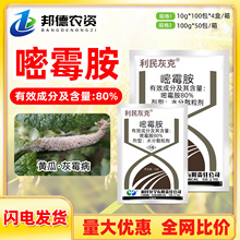 ����ҿ� 80%��ù���������߲��S�ϻ�ù���������Ʋ�����Ⱦ�rș