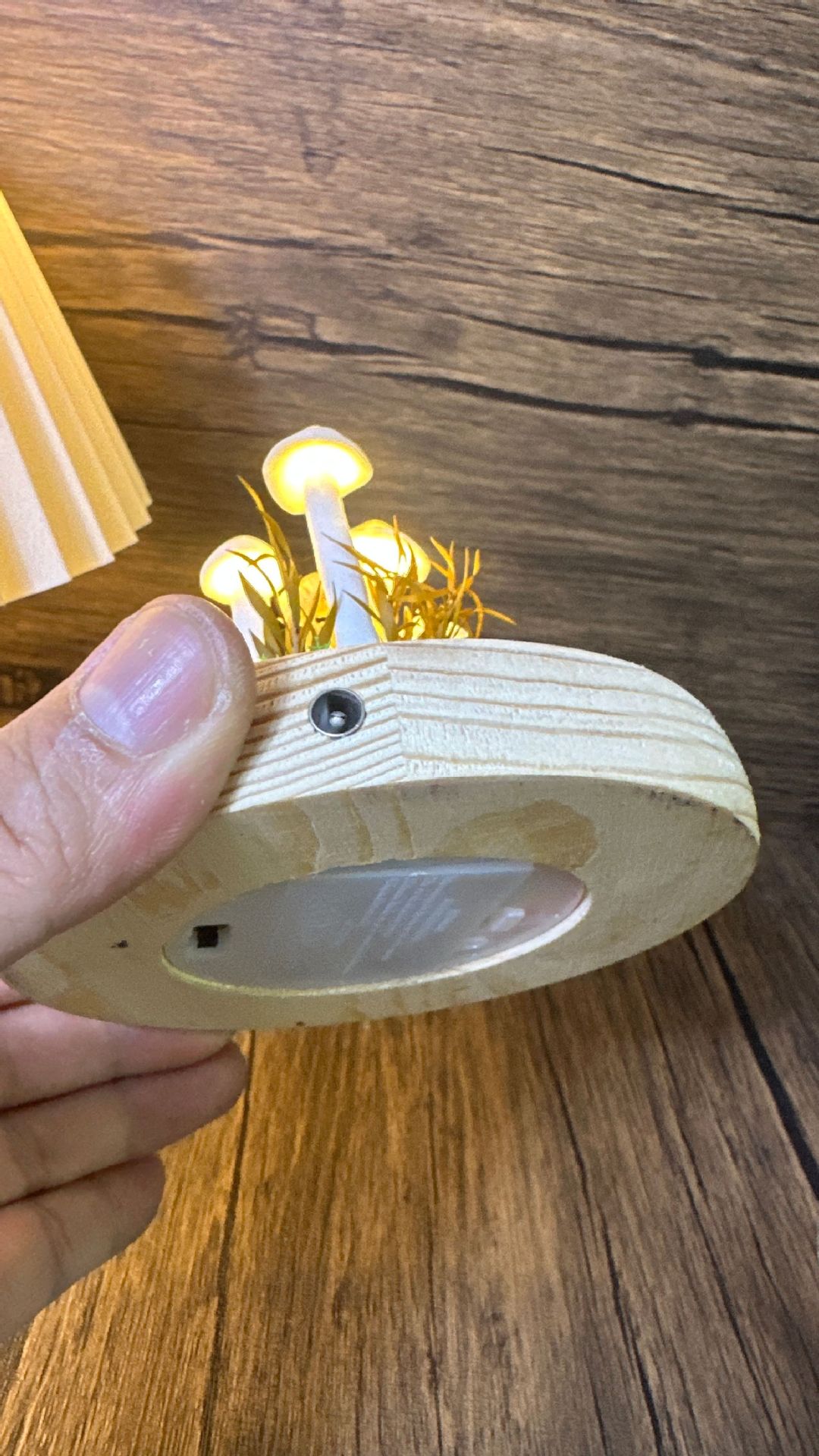 微信图片_20241013172708