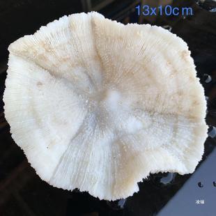 ��Ȼ����ɺ���ջ�����ؐ���~���쾰ˮ��ˮ��������b�Ʒ�[������