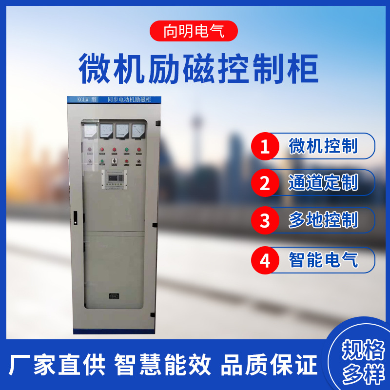 WLK同步电机微机励磁厂家直供微机励磁柜 同步电机控制柜  励磁柜