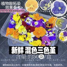 ֲ������Ⱦ���r�Gֲ���� diy���ܘ��~�F���r����ӡ�����N���Ĳ�