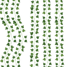 �����ٗl�����������~�Gֲ��ɽ�����}�b��҃ȱڒ�ͥԺ��피�ֲ��