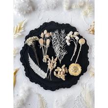 ��ɫ��������ָ���ϰ�diy����ɻ���ֲ��˱����ֶY�R��Ƭ�b�