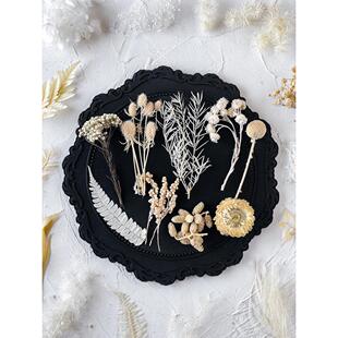 ��ɫ��������ָ���ϰ�diy����ɻ���ֲ��˱����ֶY�R��Ƭ�b�