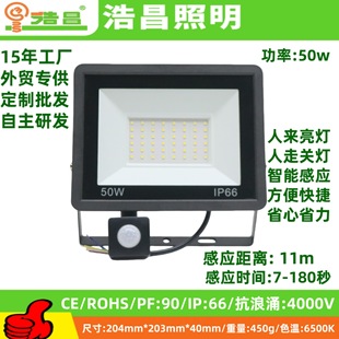 Induction Floodlight, Human Body Induction Floodlight, Infrared Induction Floodlight, Corridor Sensor Light, Lights up When People Come